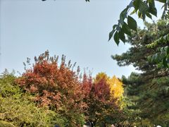 -香山公园