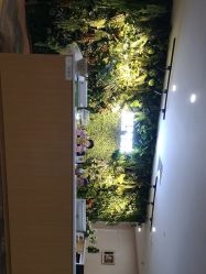 -小熊维尼高端孕婴摄影(清湖金銮店)