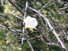 -苏州上方山国家森林公园
