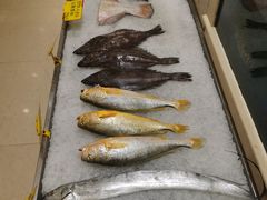 -双井轩(双井店)