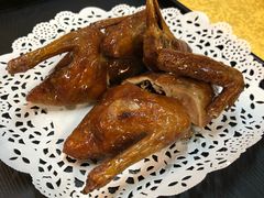 -鸽王世家(东华东路店)