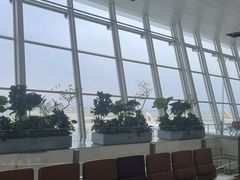 -河内内排国际机场