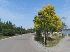 -水西公园