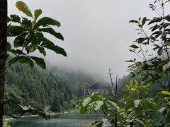 -武陵山森林公园