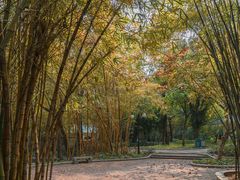 -晓港公园