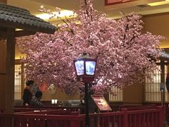 -大江户·温泉洗浴(浑南店)