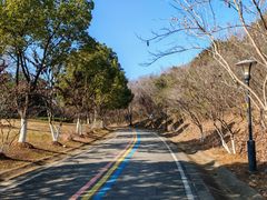 -羊山湖公园