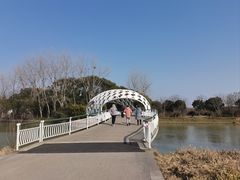 -同里国家湿地公园