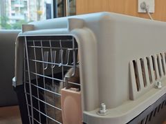 -半岛宠物医院24小时·内窥镜·牙科·碎石中心(府城大道店)