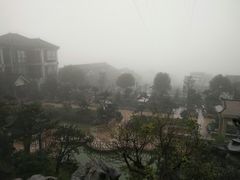 -老幺泉水鸡