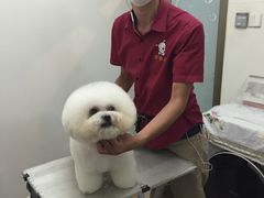 -宠物家(双井店)