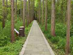 -同里国家湿地公园