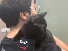 -四月宠物医院·猫专科·心脏专科·内科(转塘店)