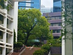 -香港大学