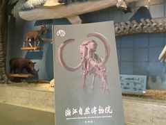 -浙江自然博物院(杭州馆)