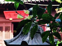 -慧因高丽寺
