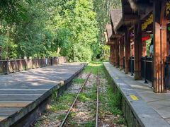 -合肥滨湖国家森林公园