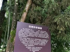 -武隆天坑寨子景区