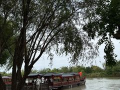 -长兴太湖图影湿地文化园