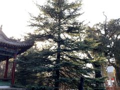 -黄帝陵