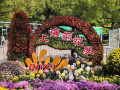 -上海共青森林公园