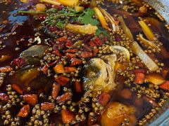 -麻辣巅峰美蛙鱼头火锅(犀浦店)