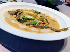 -子福慧(虹桥店)