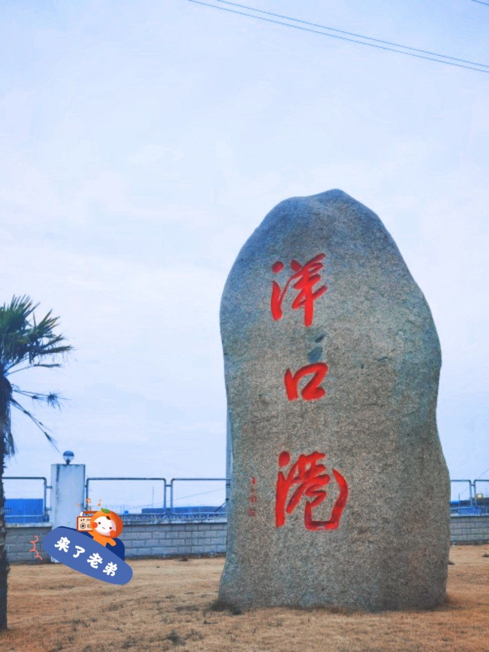 漫步洋口港,领略大自然的水墨画卷