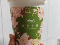 -CoCo都可(湖滨银泰店B区店)