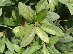 -如家酒店·neo(北京传媒大学西门传媒地铁站店)