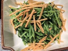 热拌撒子豆苗-锦荟JINHUI·浙江小馆(上海荟聚店)