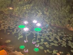 -兴芮温泉度假区