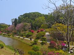 -东莞植物园