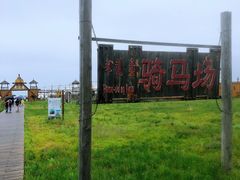-呼伦贝尔大草原巴尔虎蒙古部落民俗旅游度假景区