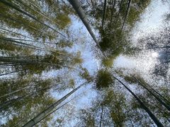 -黄公望隐居地