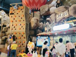 -卡通尼·Safari非洲探索乐园·生日会(金桥国际商业广场店)