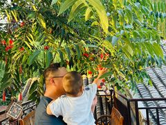 -悦真雅院·四合院·清真私房菜(雍和宫店)