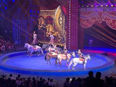 -珠海横琴长隆《卡卡虎奇遇记》