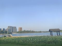 -桐乡凤凰湖