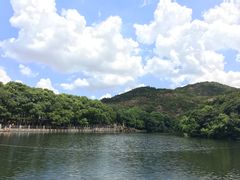 -白马涧龙池景区