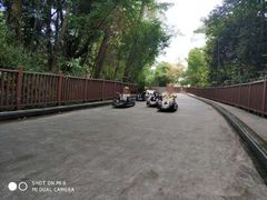 -圣淘沙天际线斜坡滑车