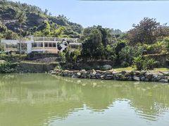 -石排湾郊野公园