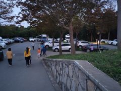 -南汇嘴观海公园