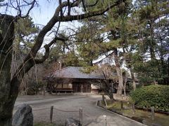 -名古屋城