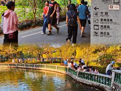 -星湖旅游景区七星岩