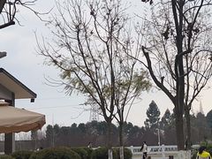 -夏河溪乡野公园