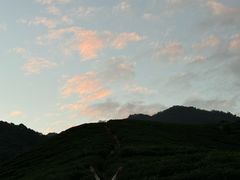 -午潮山国家森林公园