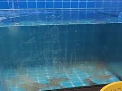 -黄鹤天厨·泡椒田鸡创始者(莲花店)
