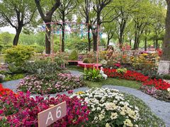-上海鲜花港