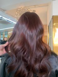 -潘多拉Hairsalon